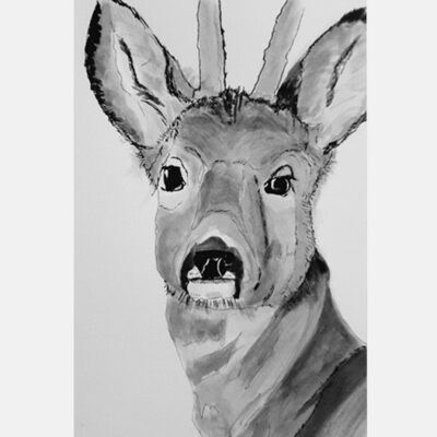 Encre-33-A4 Marie Colombier