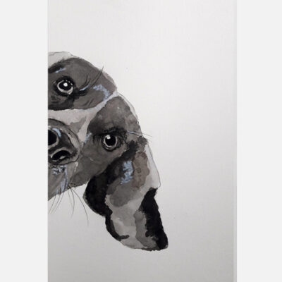 Marie colombier encre 118